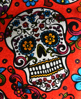 Sugar Skull on Red